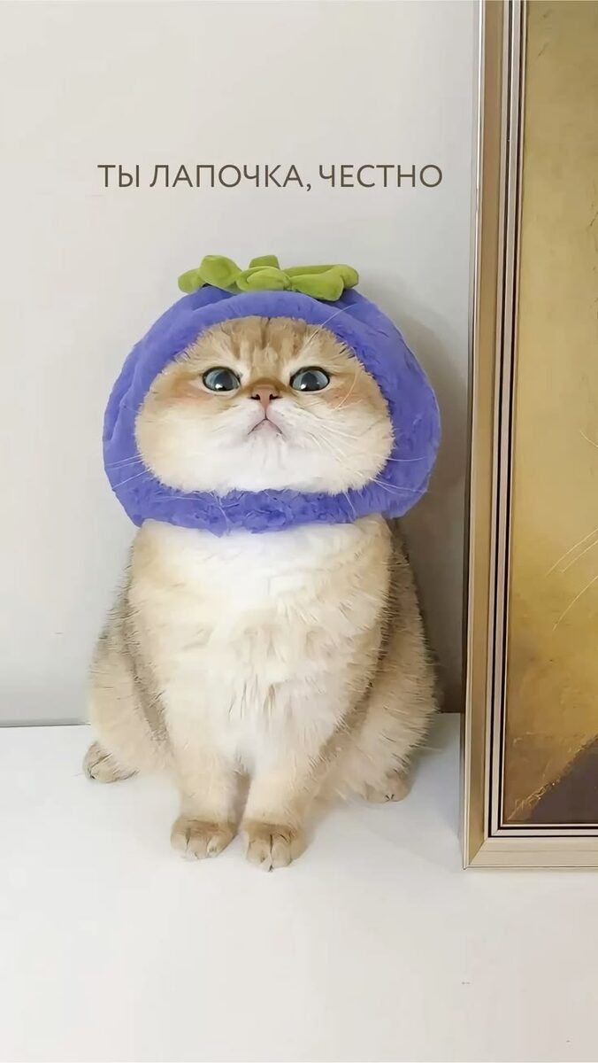 Из открытых источников