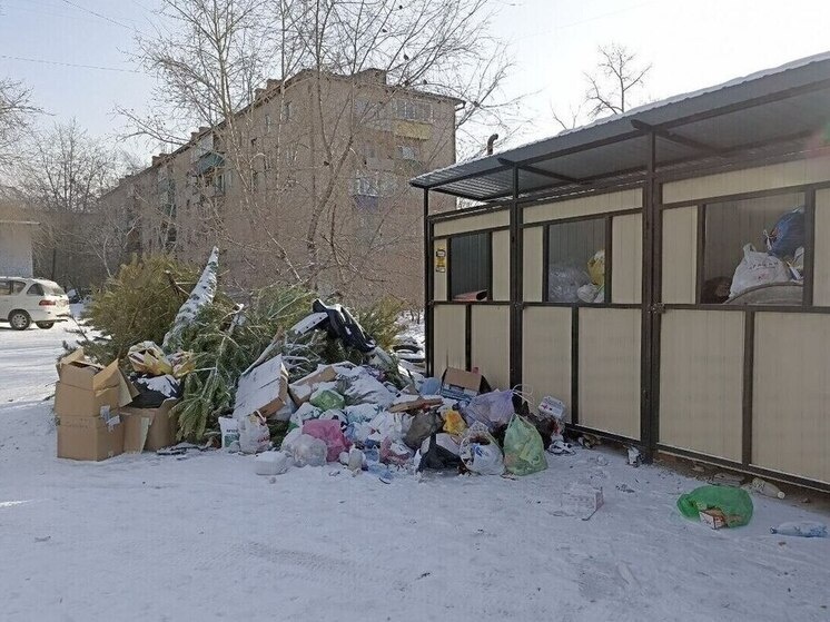     фото читателя «МК в Чите»