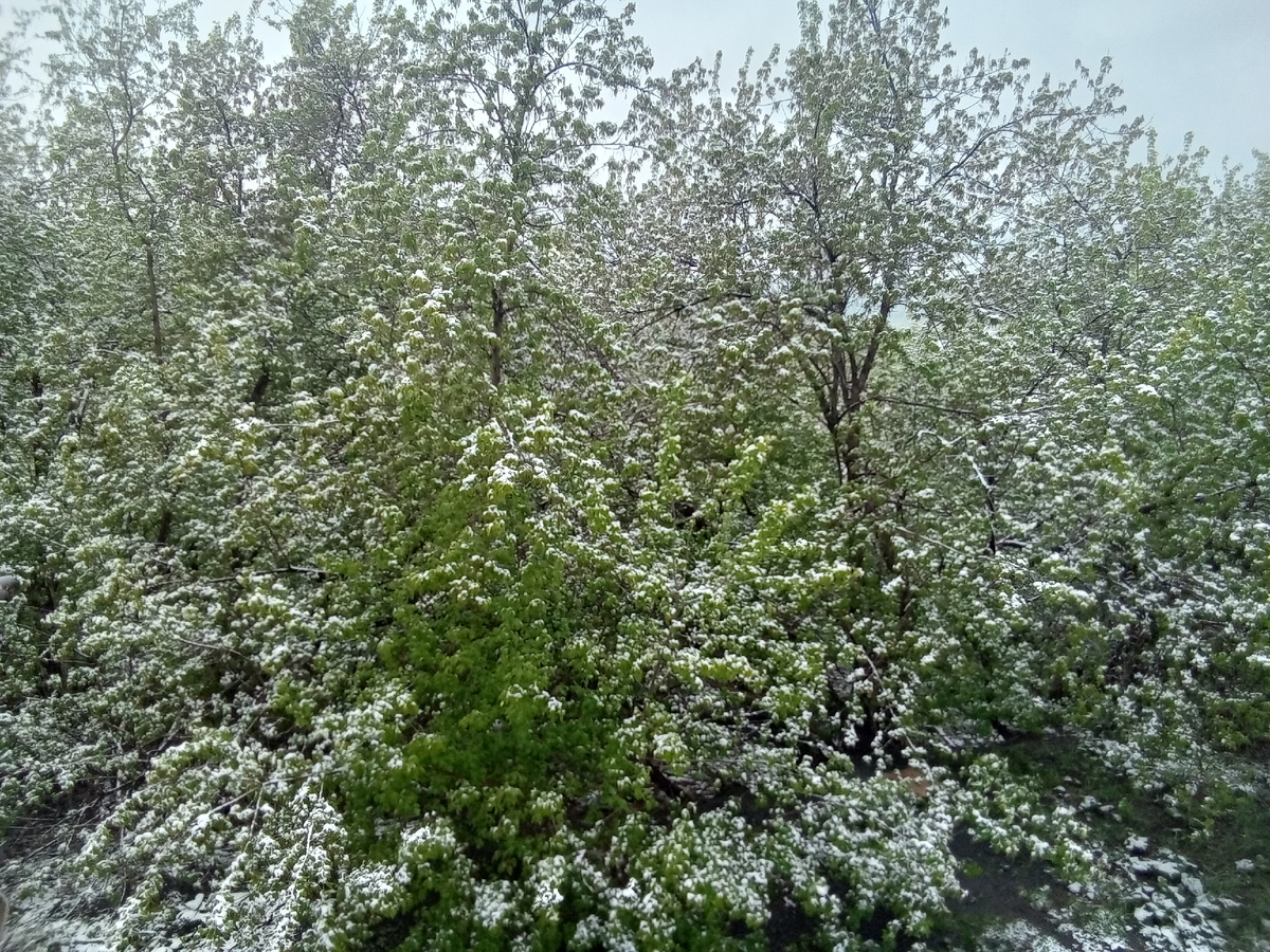 Мой шок в шоке.