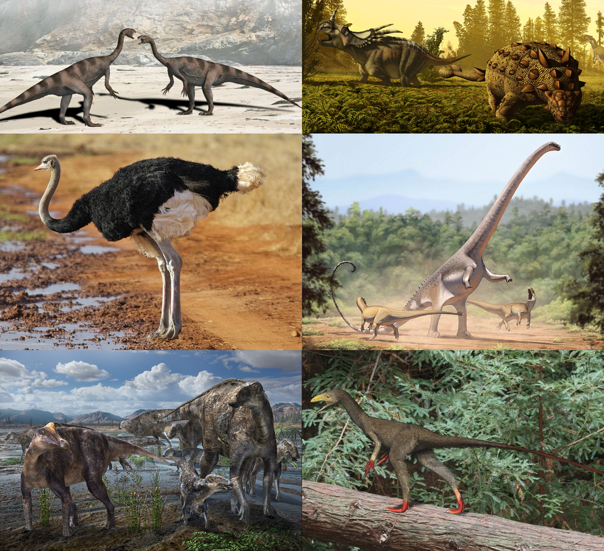 1-й ряд: платеозавр Plateosaurus engelhardti; стиракозавр Styracosaurus albertensis (справа) и Scolosaurus cutleri. 2-й ряд: африканский страус (Struthio camelus); Barosaurus lentus и атакующие его аллозавры Allosaurus fragilis. 3-й ряд: эдмонтозавры (Edmontosaurus sp.) и ламбеозаврин (Lambeosaurinae indet., слева на переднем плане); Sinocalliopteryx gigas / Wikimedia
