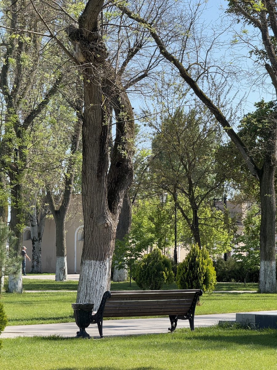 Удобные лавочки среди зелени. 