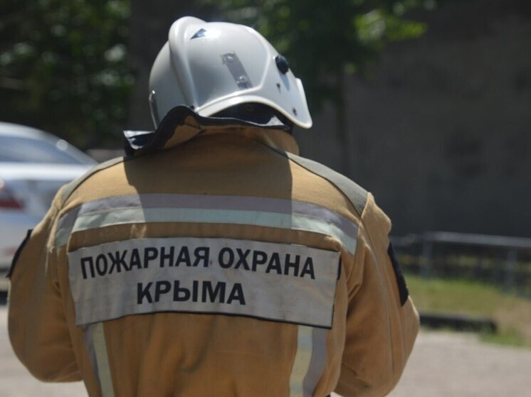     Фото: пресс-служба МЧС Республики Крым