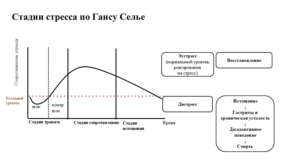 Ключевой вывод Ганса Селье: стресс опасен не сам по себе, а при затяжном воздействии – когда организм не успевает пройти полный цикл восстановления.