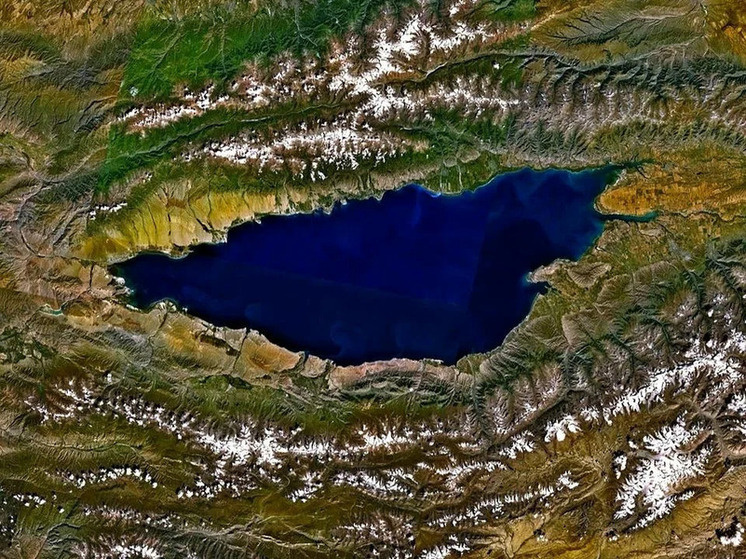     Фото: википедия.