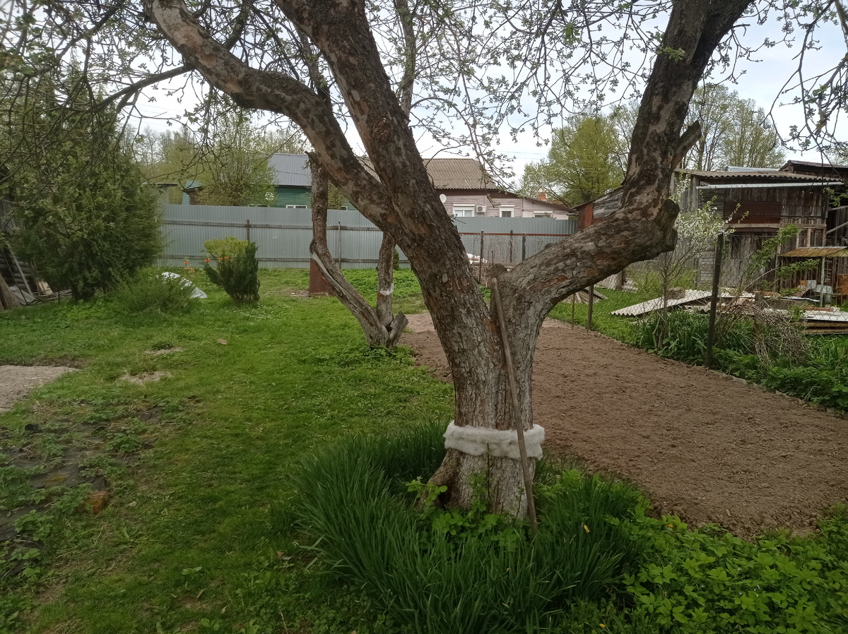 что-то перекопано