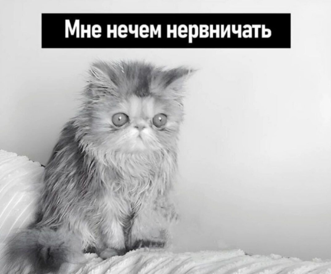Фото, передающее мое состояние, когда я смотрю на свою рассаду 🤣