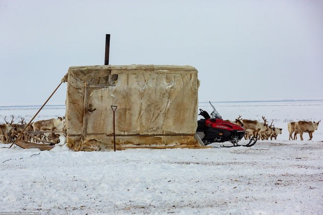жилище Балок