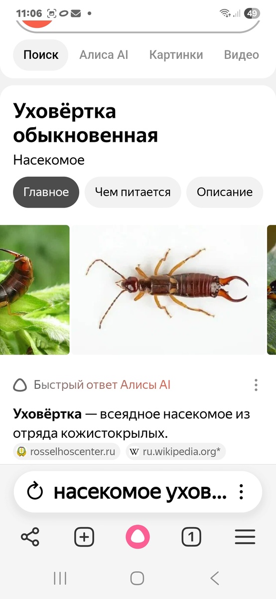 Скриншот информации из открытых источников (Интернет).