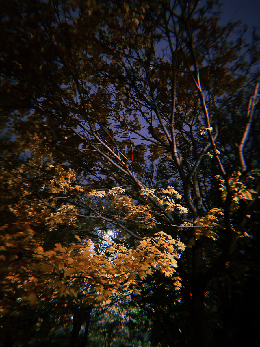 Фото мое 