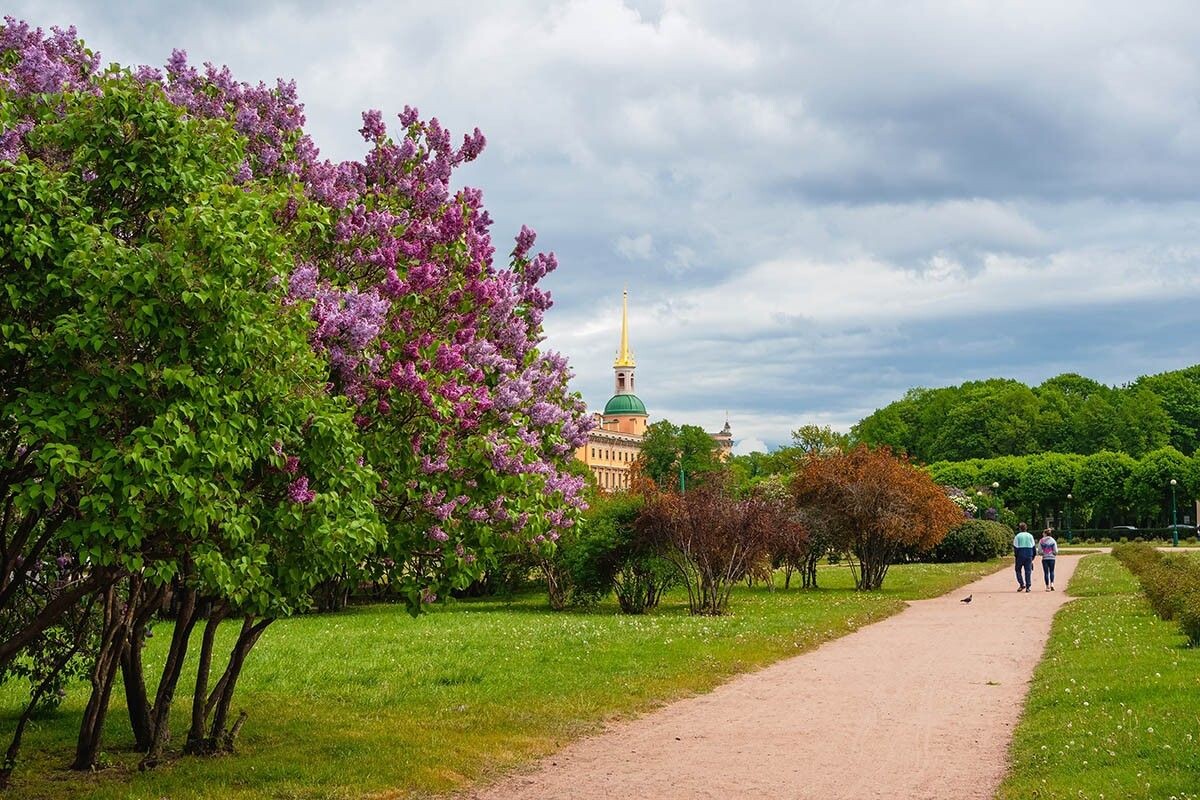 Когда на Марсовом поле цветет сирень, обычная прогулка по центру становится почти праздничной. Источник: Stanislav71 / Shutterstock / FOTODOM📷
