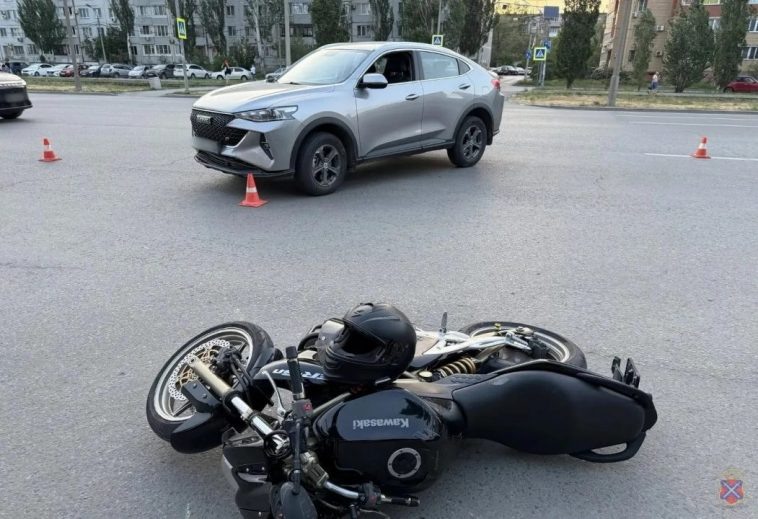 Фото: ГУ МВД по Волгоградской области