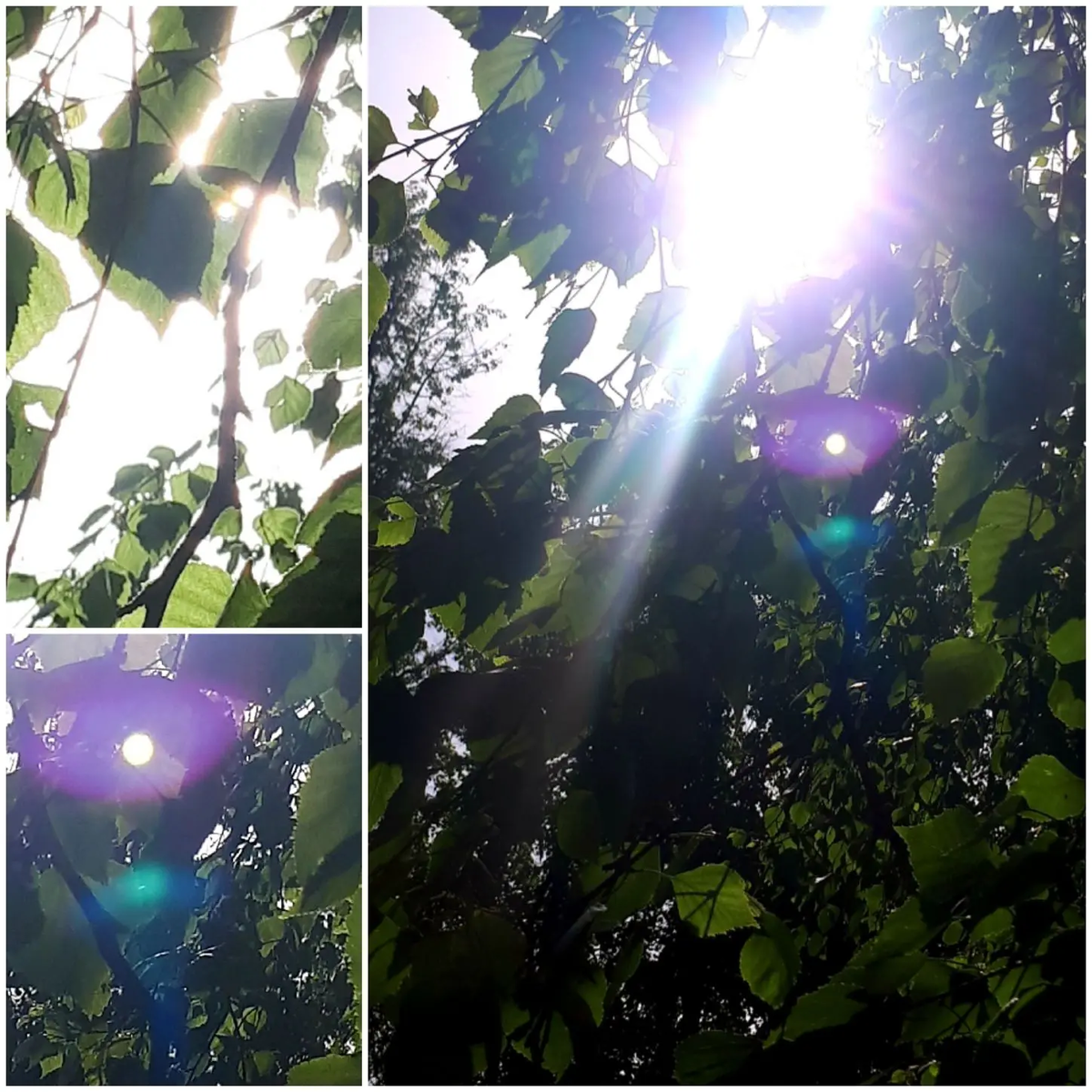 Коллаж автора статьи 18.05.2026г.