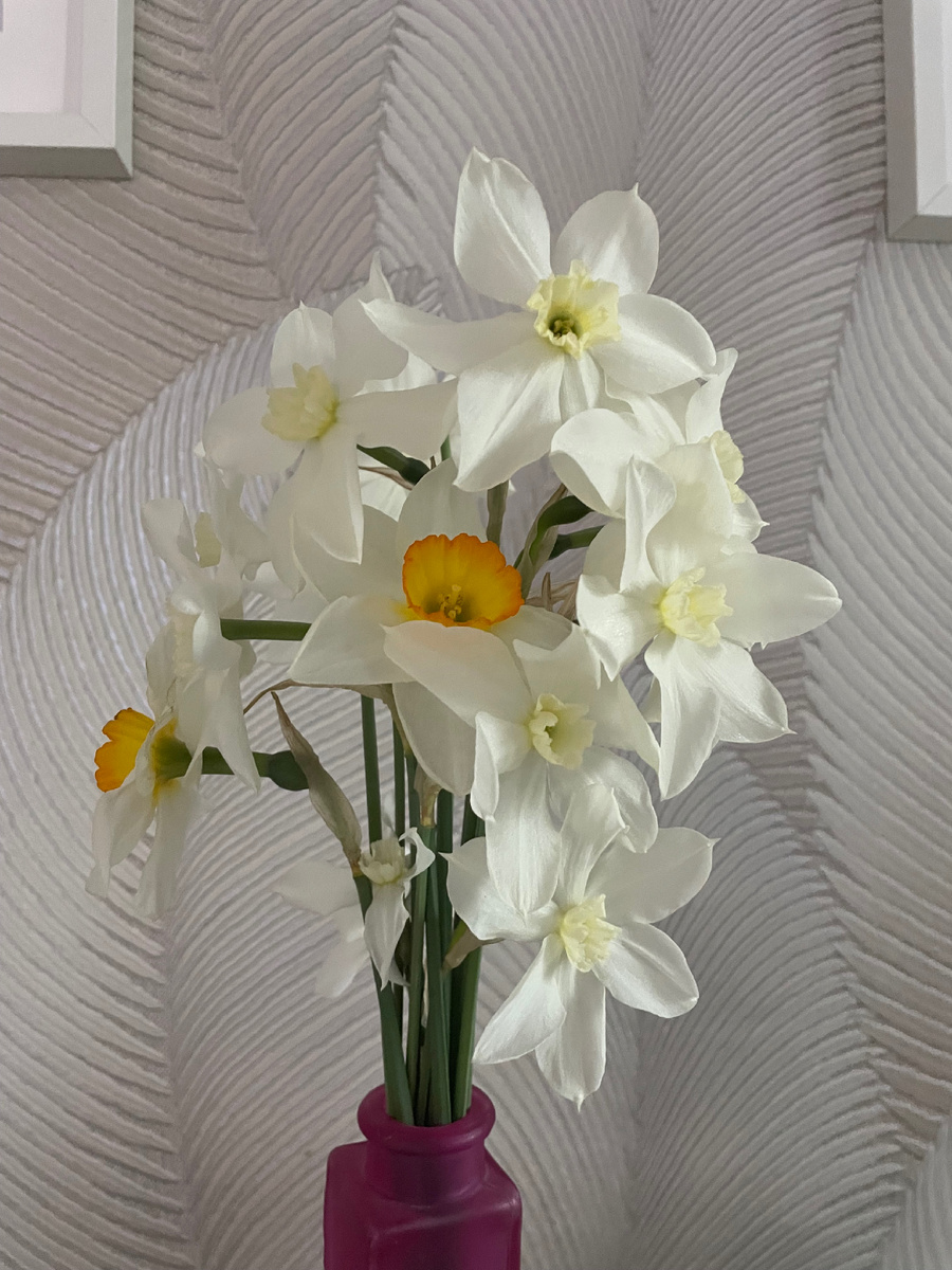 Цветовое ☺️🌸