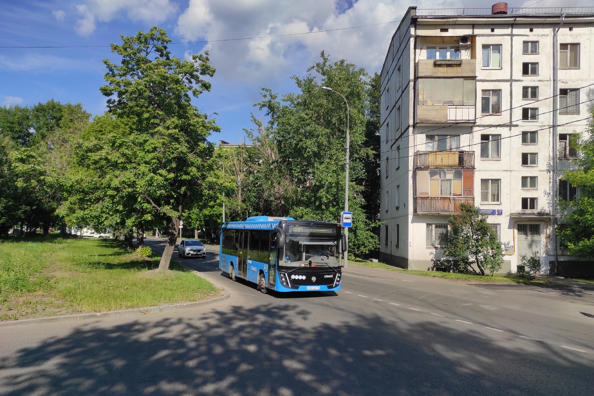 МАЗ-206 и уютная панельная хрущёвка в Грайвороново, 04.06.2025
