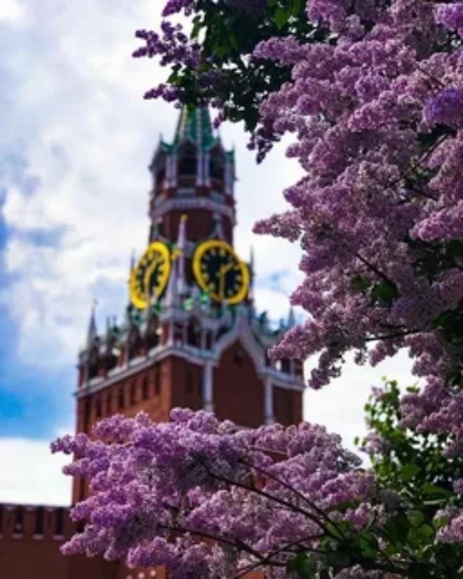 Москва в сирени.   Фото из Яндекса