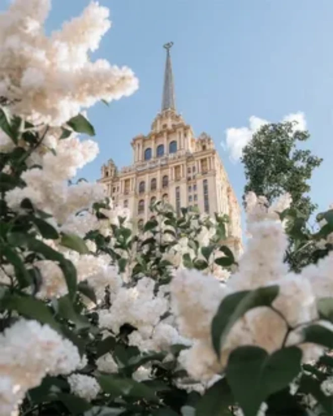 Моска в сирени.  Фото из Яндекса