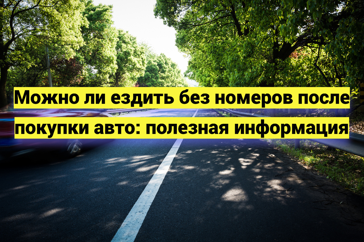Источник фото:  magnific.com