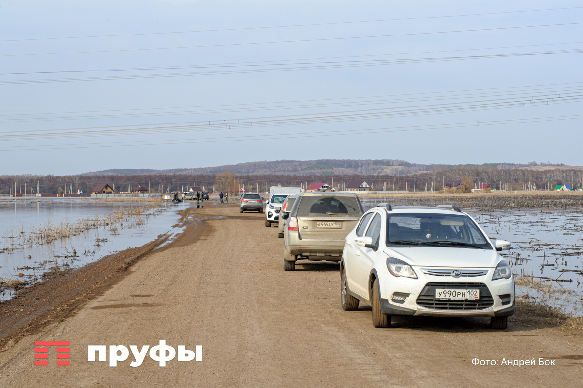    Пруфы.рф