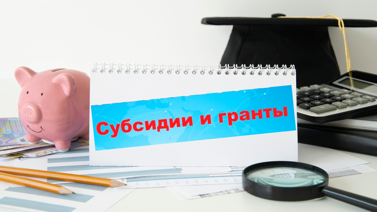 Все о тонкостях государственного финансирования НКО