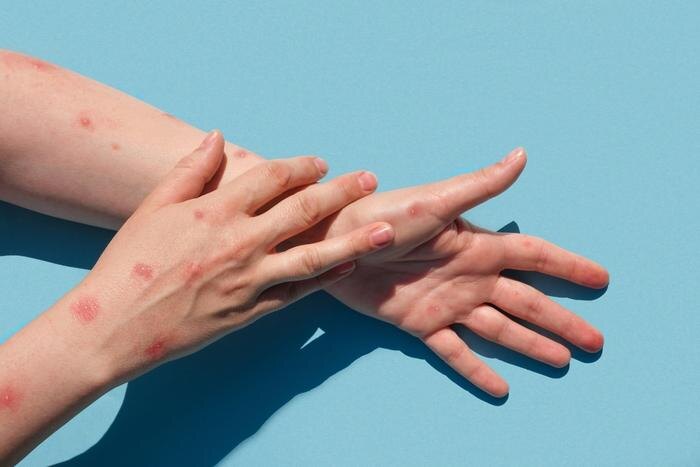 Обложка © Shutterstock / FOTODOM / Marina Demidiuk