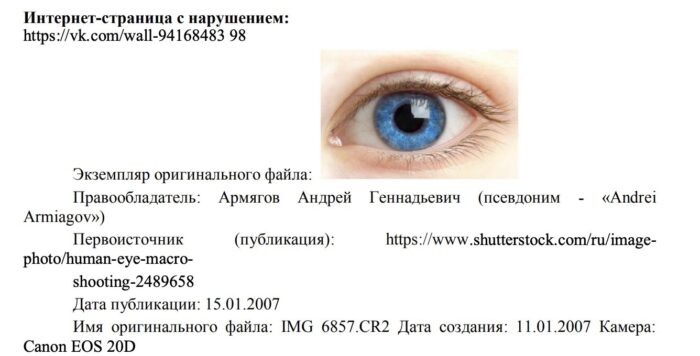    Скриншот решения суда.