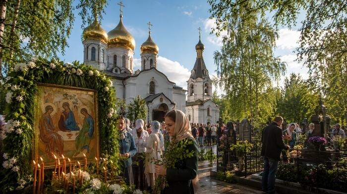 Обложка © ChatGPT