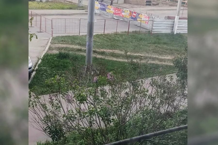 Бийск 22/Мах   📷
