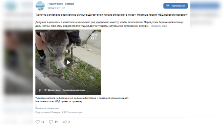 Фото: скриншот соцсетей
