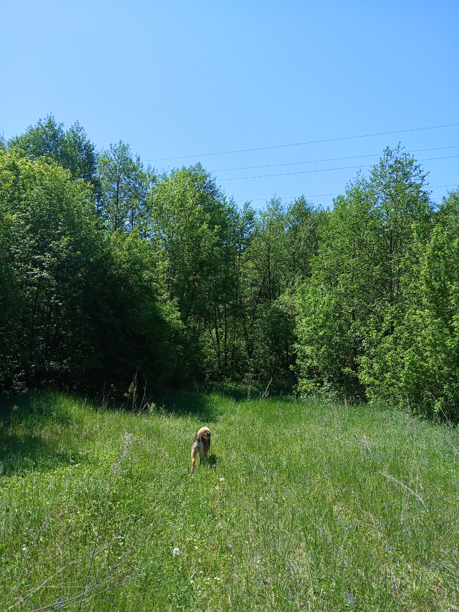 18.05.2026г. 