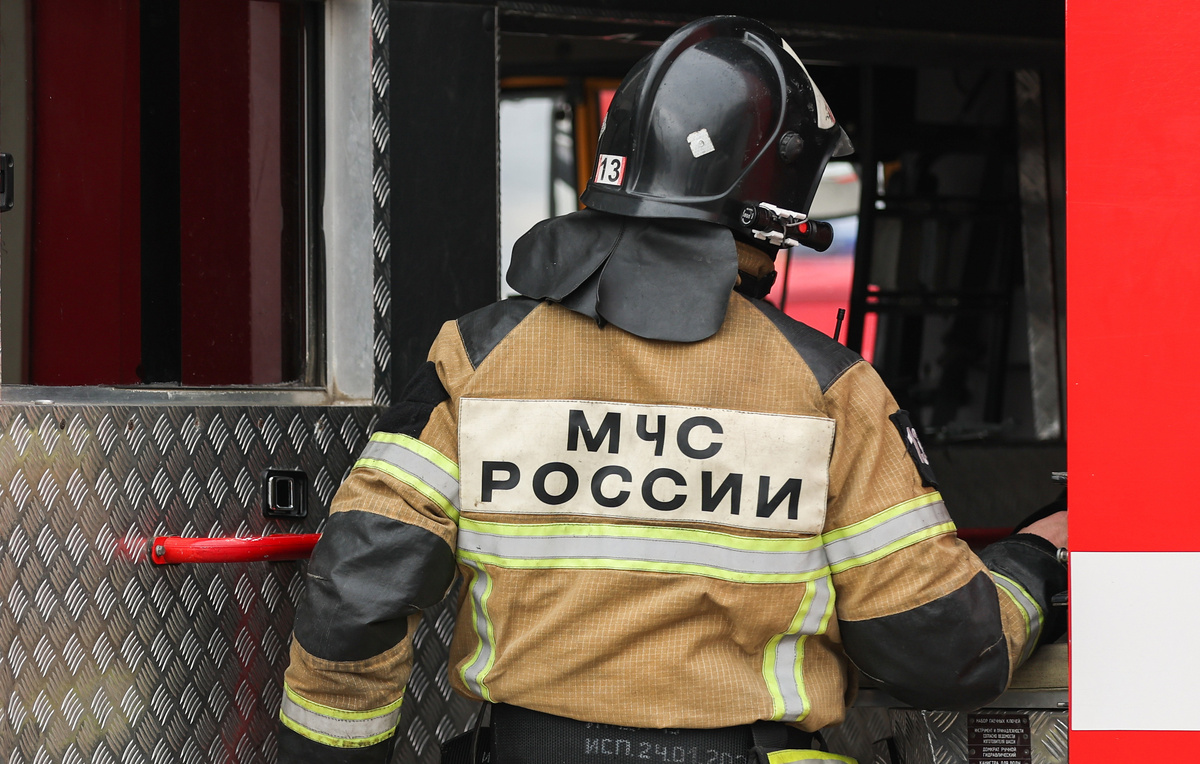 Эрик Романенко/ТАСС, архив