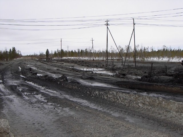 Порыв около дороги в болоте.