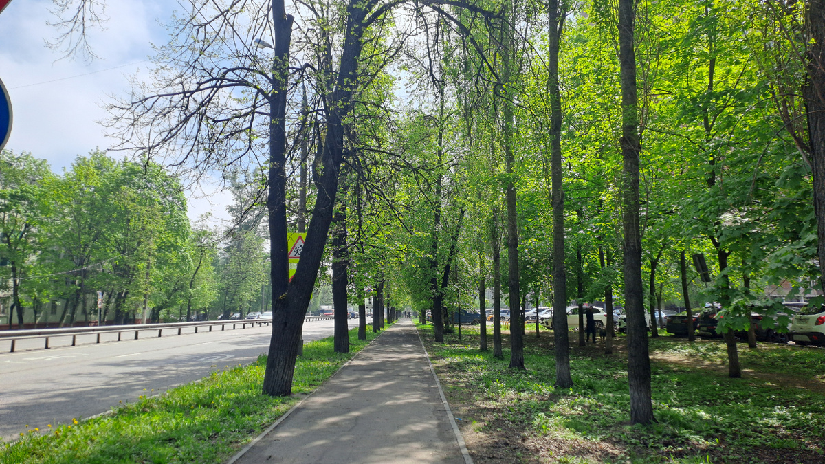 Октябрьский проспект в Люберцах