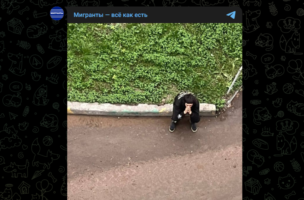Фото: Telegram-канал "Мигранты - все как есть"