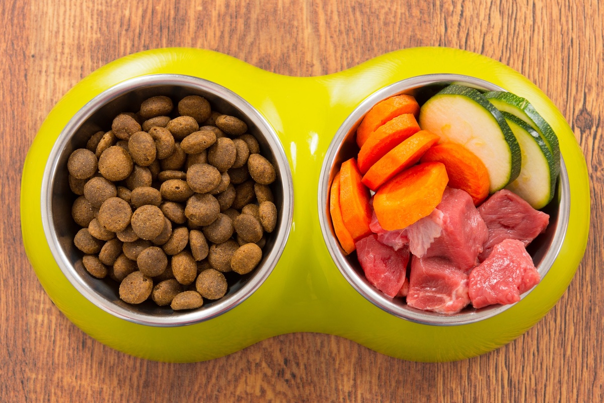 https://www.food-dogs.ru/blogs/blog/sobaka-silno-lineyat