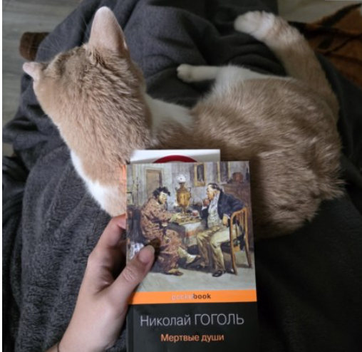 Книга Н.В Гоголя Мертвые души рецензия