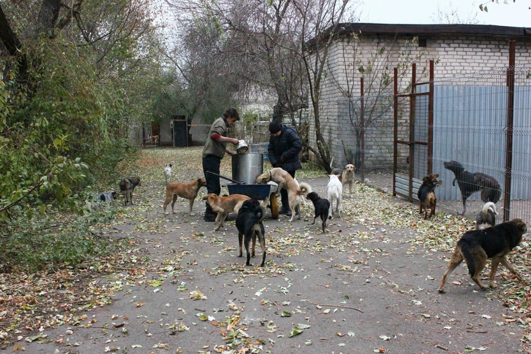 Создать карусель