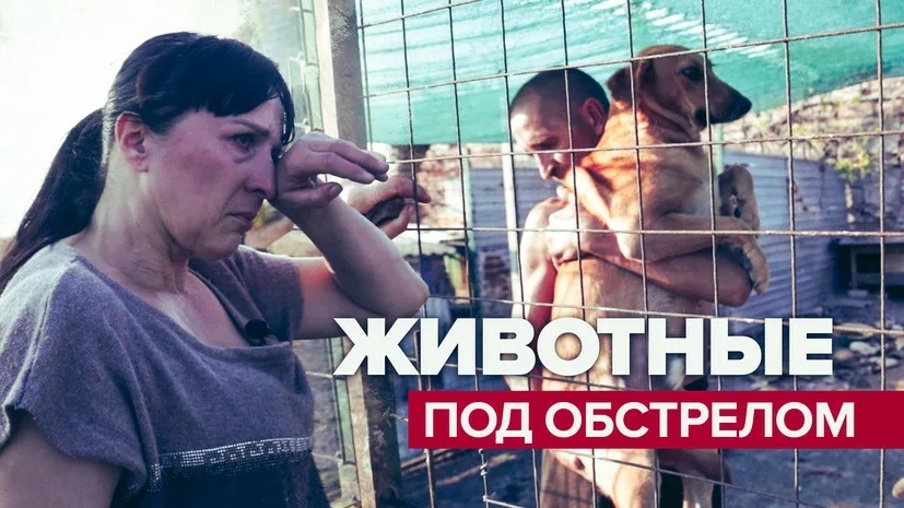 Создать карусель