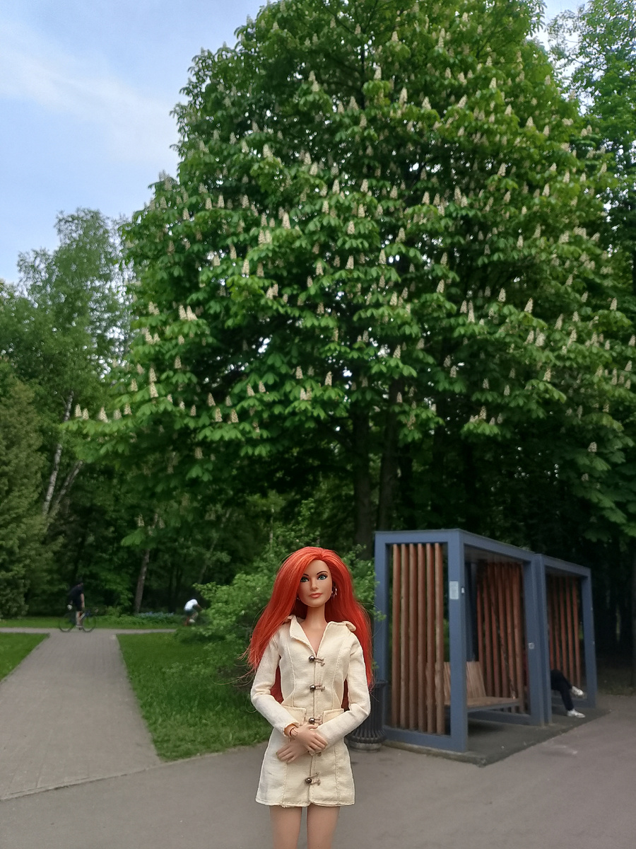 Каштаны цветут, словно свечки горят) 