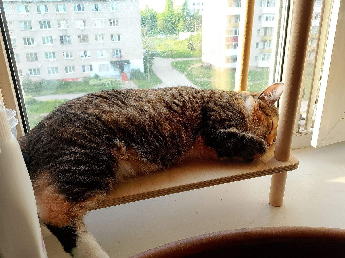 Банда