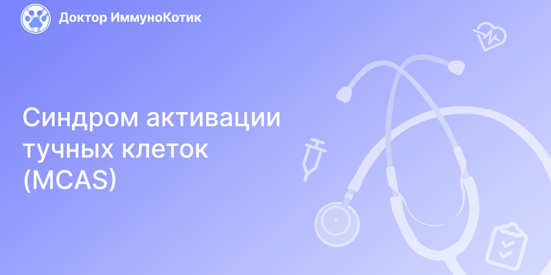 Синдром активации тучных клеток (MCAS)