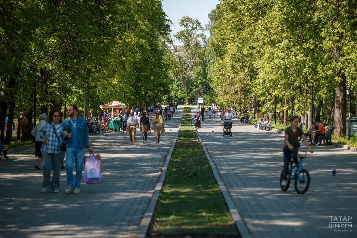 Фото: © Владимир Васильев / «Татар-информ»