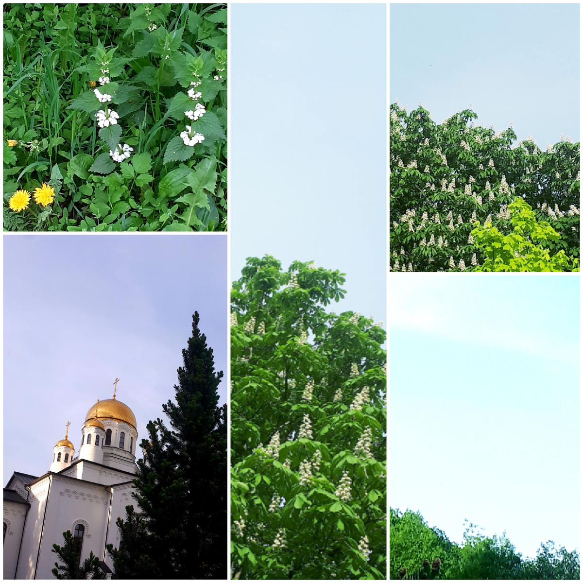 Коллаж автора 18.05.2026г.