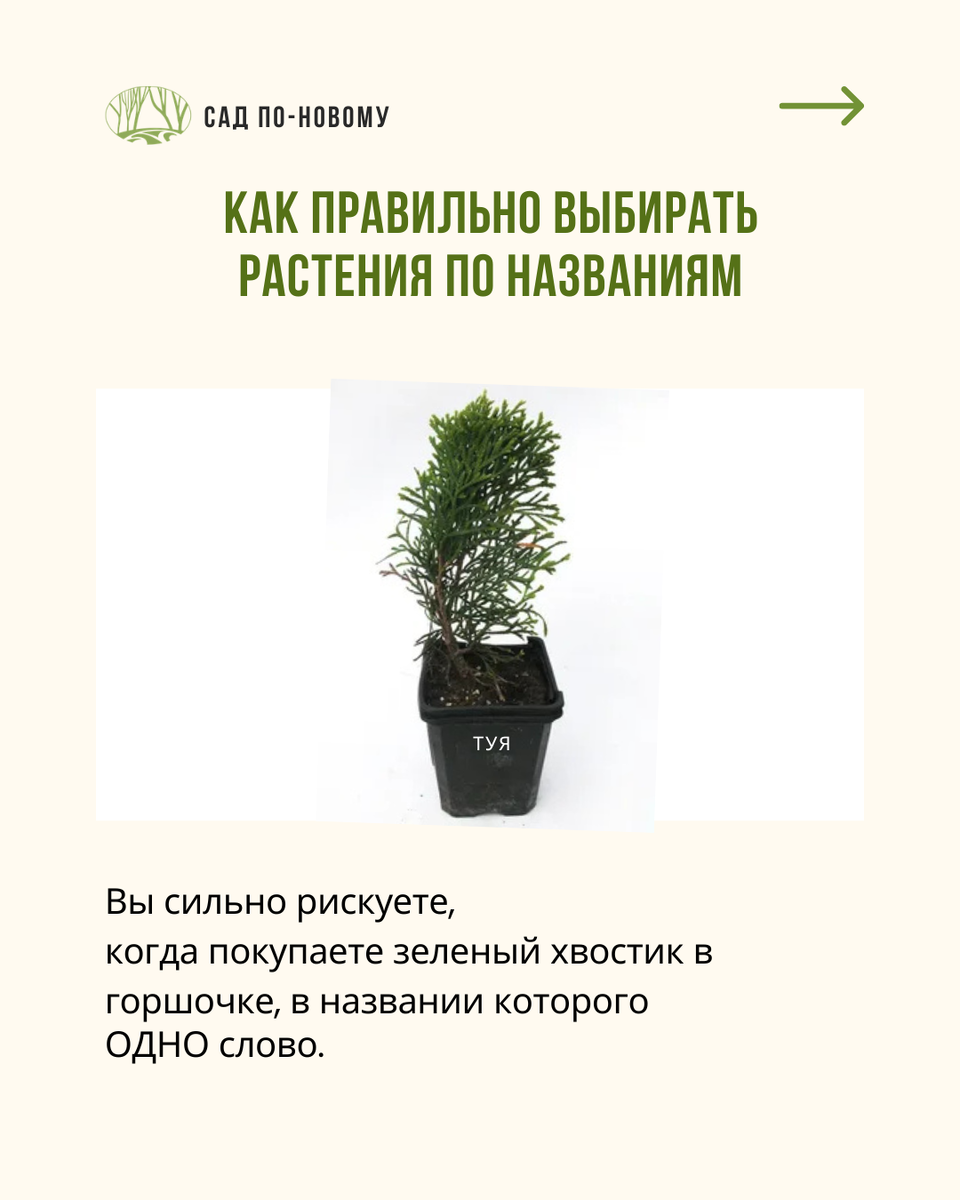 Листайте галерею по стрелочке вправо