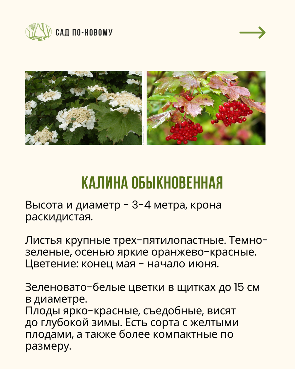 Листайте галерею по стрелочке вправо
