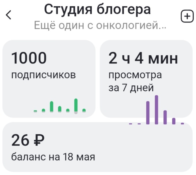 Открыл монетизацию через самозанятость. Через месяц смогу себе купить лавандовый раф на безлактозном молоке. Но, скорее всего, переведу эти деньги Ане на гранатовый сок.