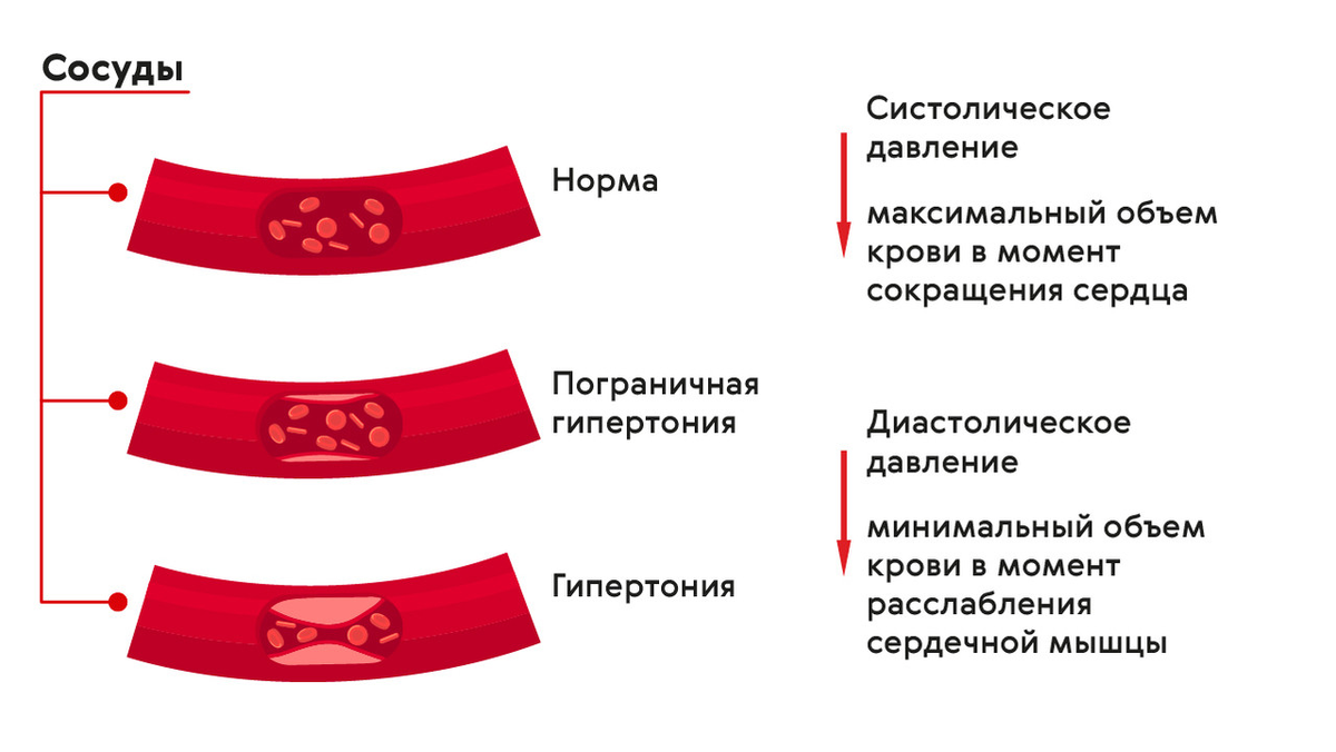 Картинка предоставлена сайтом: https://firmdigest.ru/img/4MpWiZlKqg/