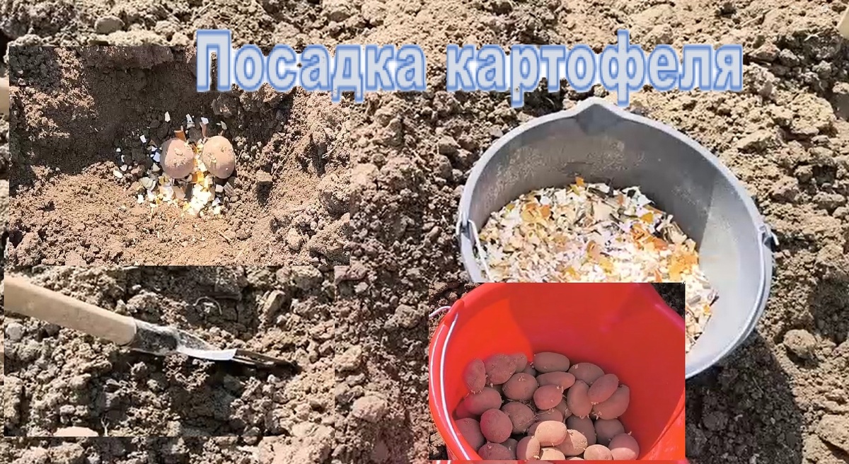 Фото из личного архива.