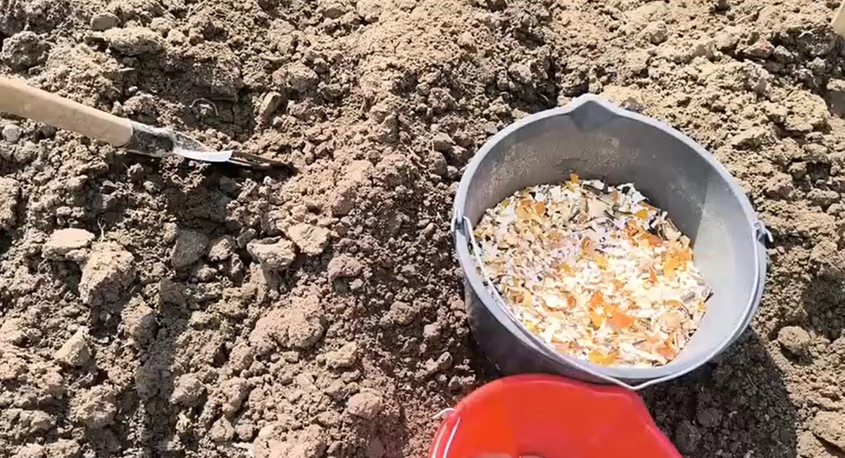 Фото из личного архива.
