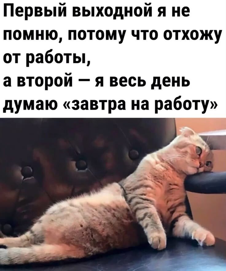 это я последние два месяца работы)))