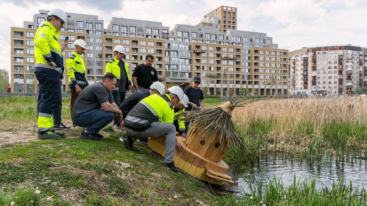 Листайте вправо, чтобы увидеть больше изображений